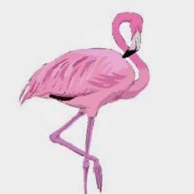 Photo: flamingo florist